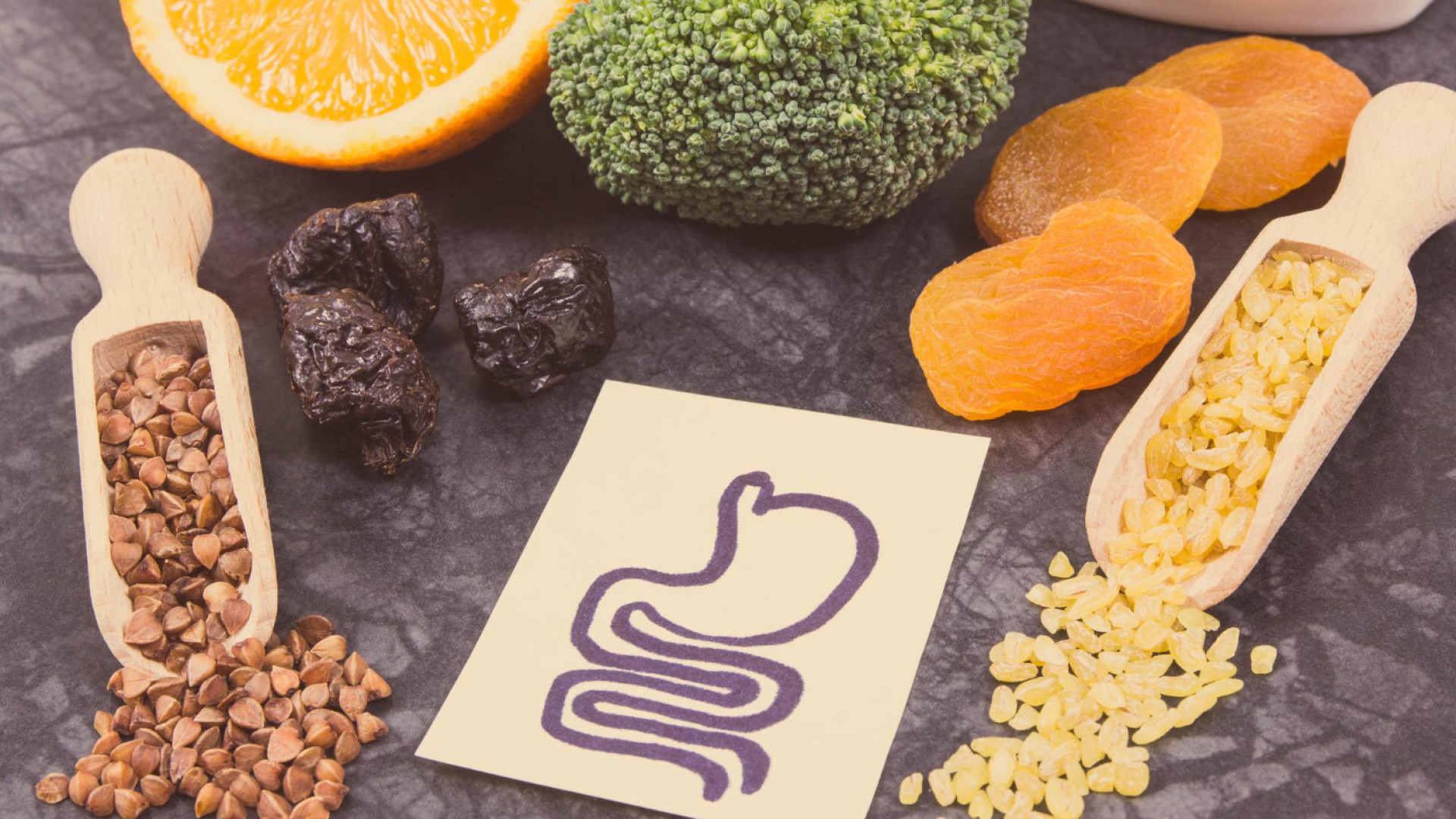 Digestion des sucres : quelles différences entre glucides simples et complexes ?